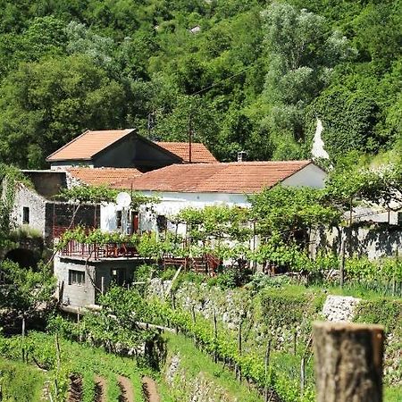 Country House Dajkovic Dupilo Esterno foto